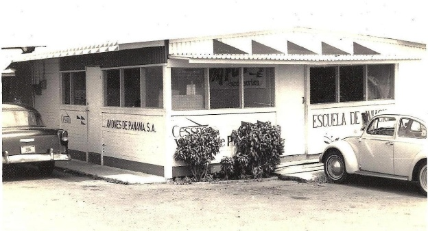 los escarabajos