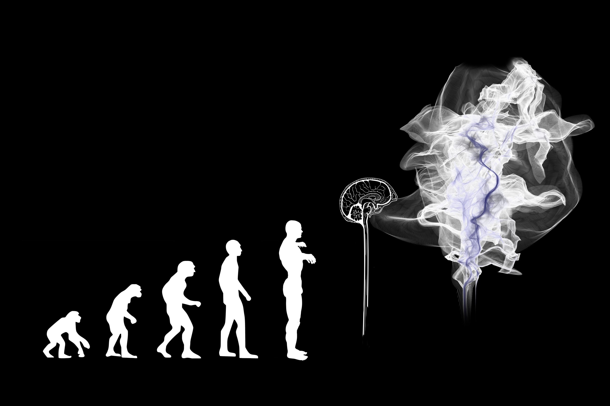 creación